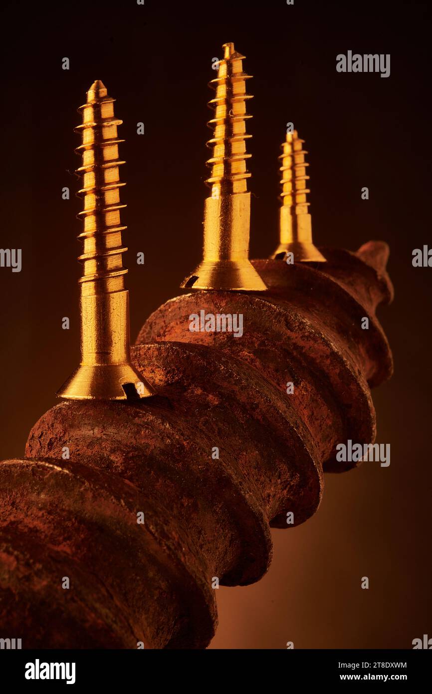 Nuove viti in ottone contrapposte con una sovradimensionata arrugginita Foto Stock