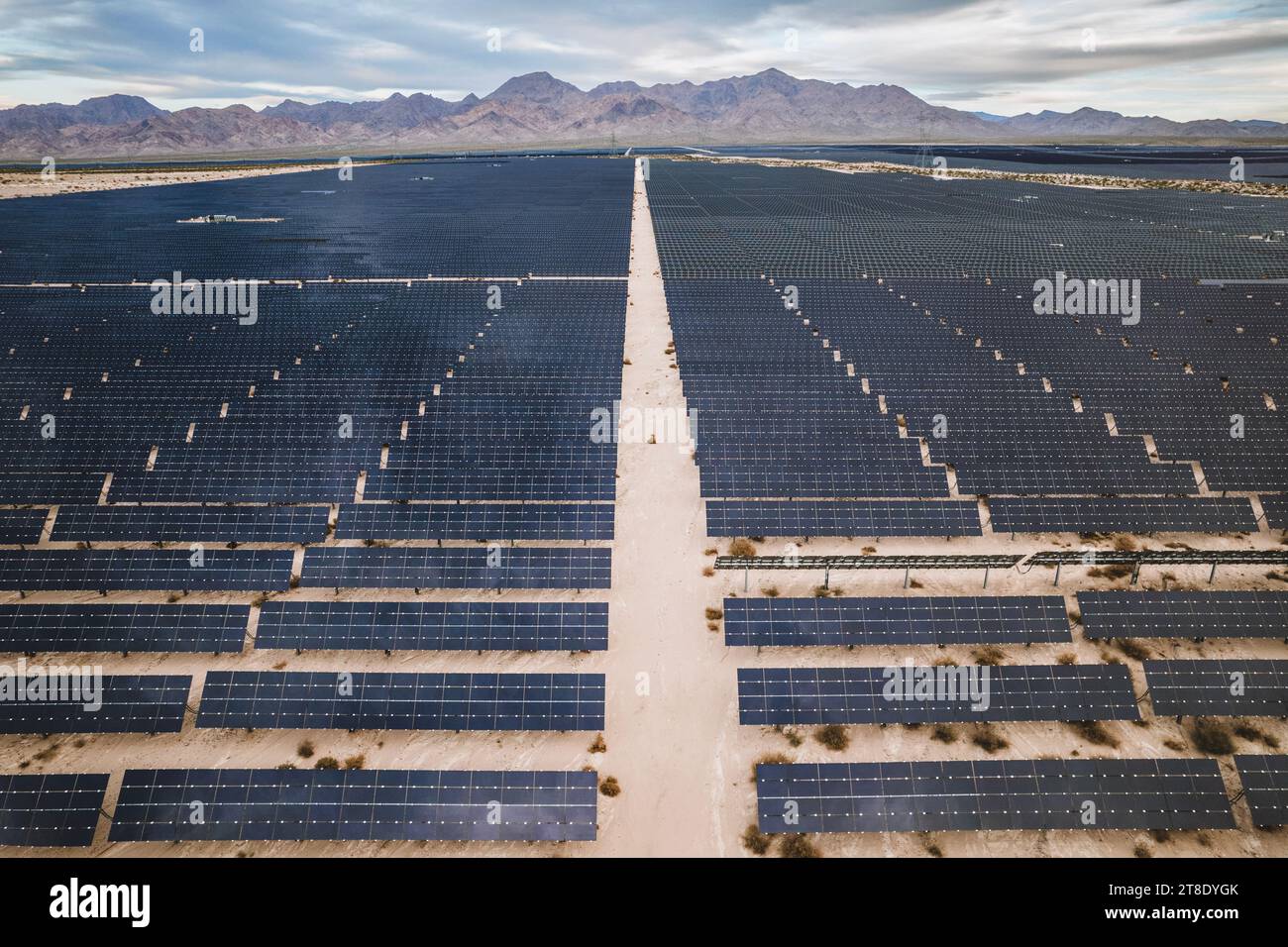 Le file di pannelli fotovoltaici si estendono per chilometri in Nevada Foto Stock