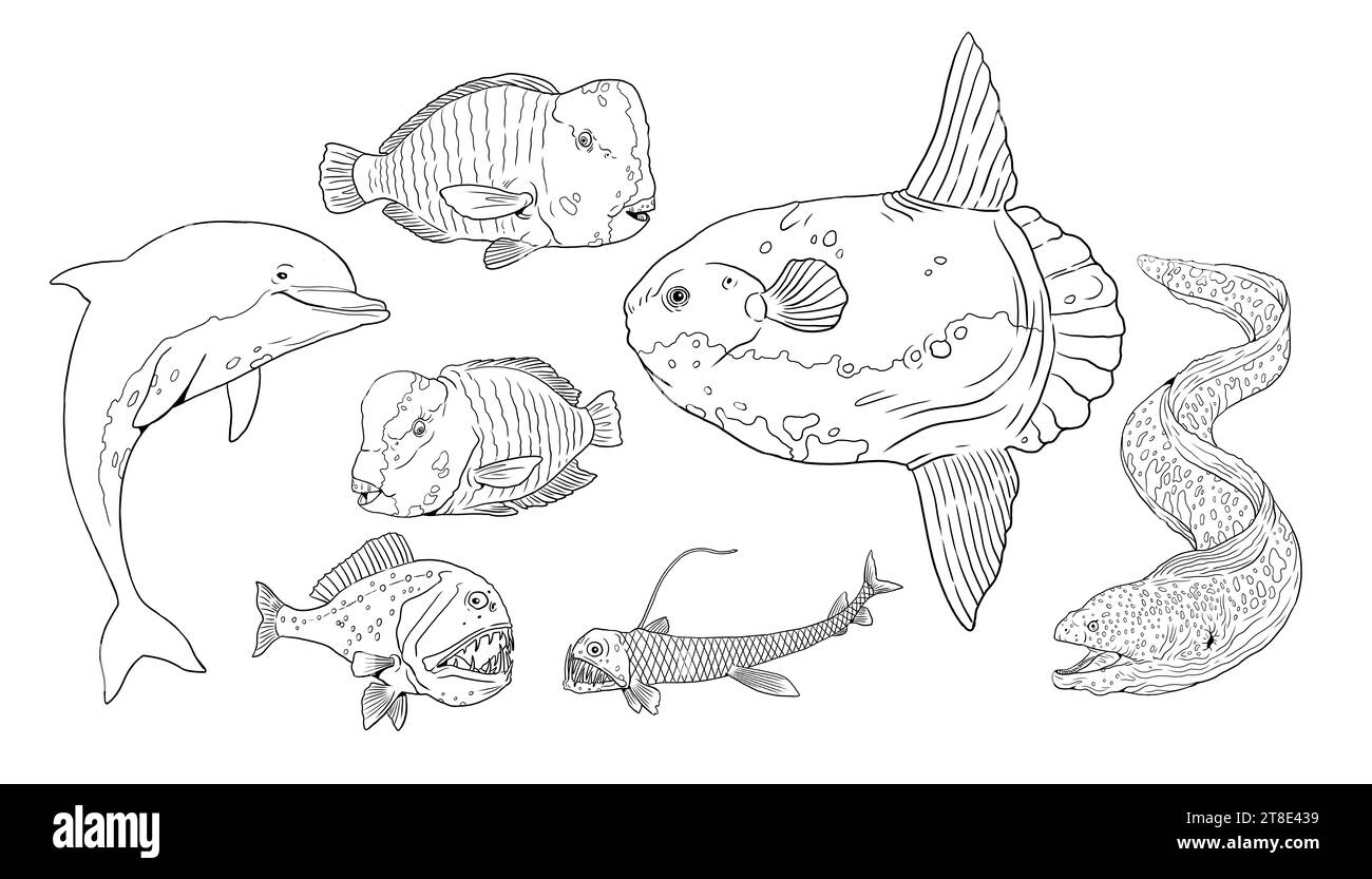 Set con modelli fisch da colorare: Pesce pappagallo, anguilla morena, pesce solare, delfino e rana. Illustrazione disegnata a mano. Foto Stock