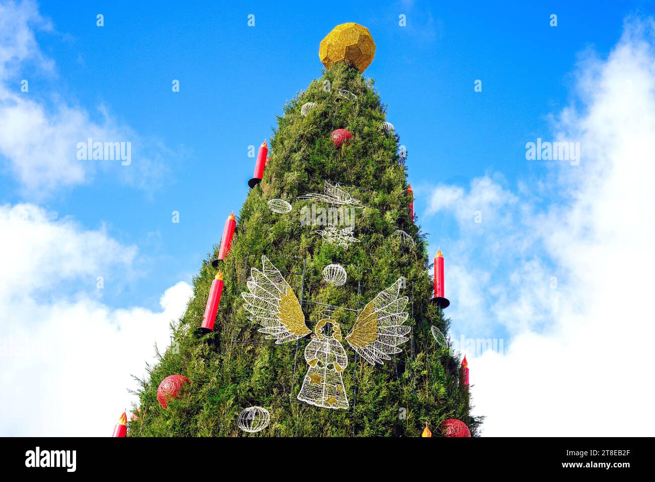 Dortmund/Germania, 20 novembre 2023: Una palla d'oro incorona l'albero di Natale più grande del mondo al mercato di Natale di Dortmund. L'albero è alto 45 metri, è composto da 1.700 abeti rossi del Sauerland ed è appeso con 48.000 luci a LED. La palla in alto assomiglia a un calcio ed è quindi criticata come insapore e inappropriato per Natale -- Eine goldene Kugel krönt den weltweit größten Weihnachtsbaum auf dem Dortmunder Weihnachtsmarkt. Der Baum ist 45 Meter hoch, besteht aus 1700 Rotfichten aus dem Sauerland und ist mit 48,000 LED-Lichtern behängt. Die Kugel auf der SP Foto Stock