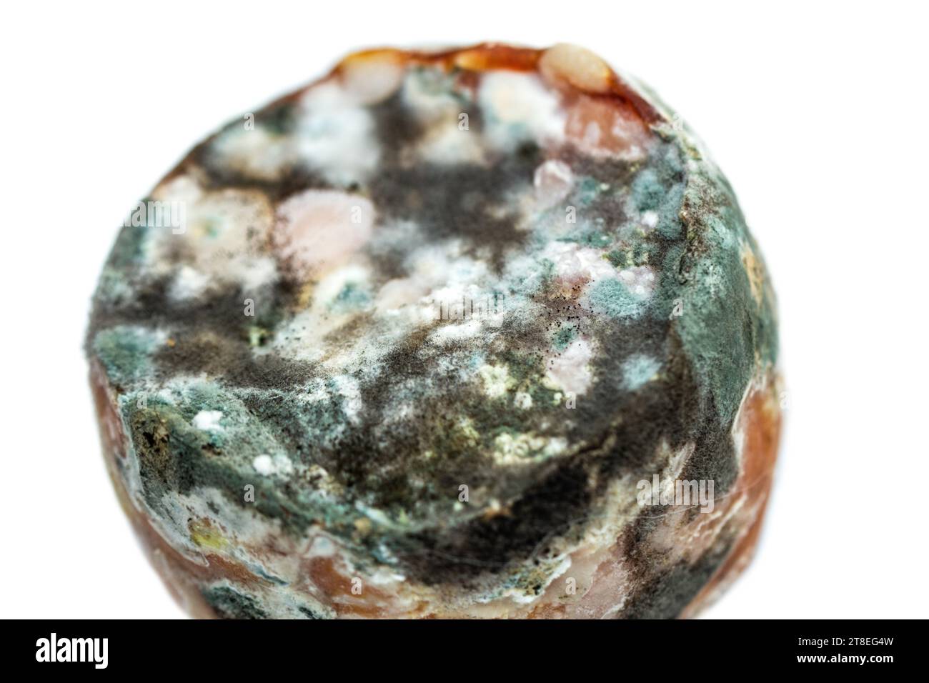 Salsiccia davvero scioccata con muffa isolata su bianco come simbolo di cattive condizioni Foto Stock