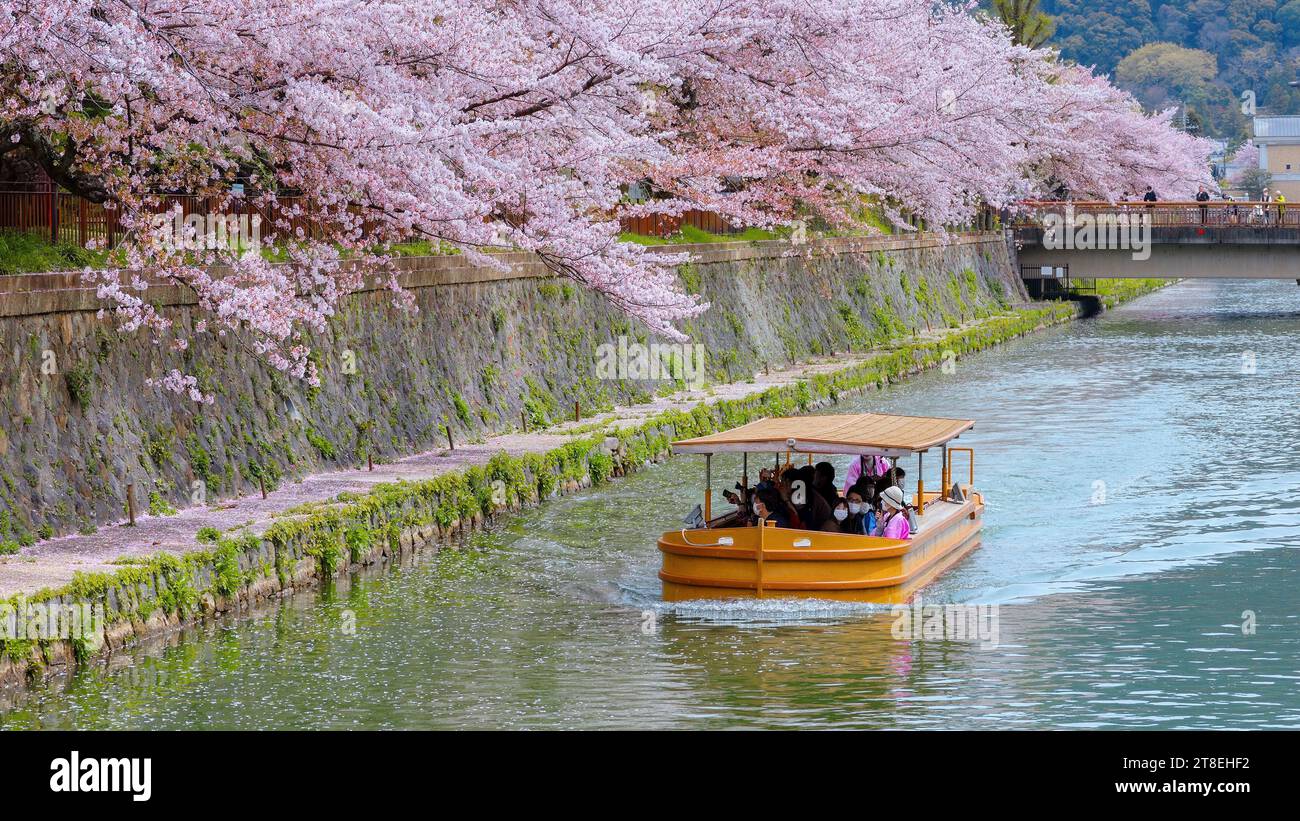 Kyoto, Giappone - 2 aprile 2023: Il giro in barca Okazaki Jikkokubune effettua una crociera di tre chilometri dal molo delle barche di Nanzenji alla diga di Ebisu e ritorno Foto Stock