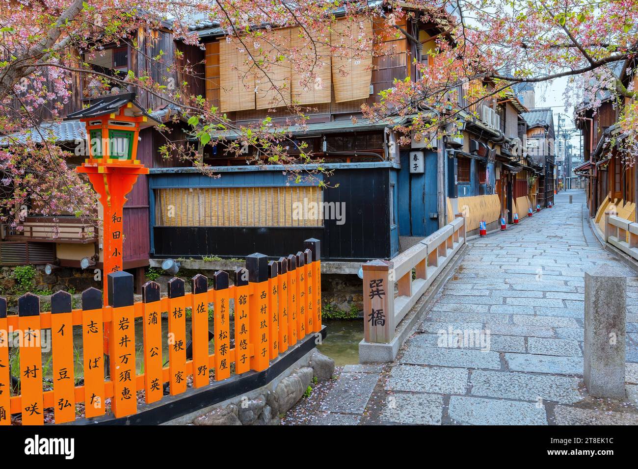 Kyoto, Giappone - 6 aprile 2023: Il ponte Tatsumi bashi è il luogo simbolo del distretto di Gion. E' un piccolo ponte che attraversa il torrente Shirakawa che scorre Foto Stock