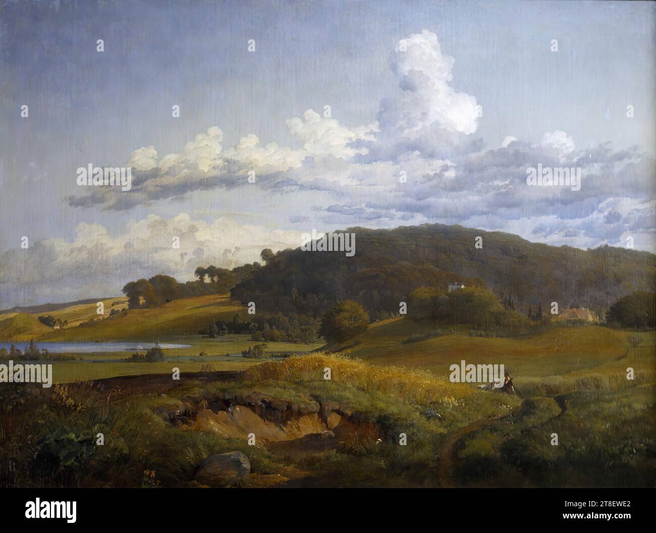 Vista da Vinderød verso Høbjerg vicino a Frederiksværk, con la casa di J.th. I genitori di Lundbye, Johan Thomas Lundbye, 1818-1848, 1839, Painting, se oggi guardiamo a sud dal villaggio di Vinderød, non avremo difficoltà a riconoscere il motivo di questa immagine. Una casa gialla con tetto piastrellato rosso può ancora essere vista ai piedi del Høbjerg boscoso. Ora è la casa di un forestiere, ma in quei giorni era la residenza ufficiale del Comandante del corpo dei razzi - un posto che il padre di Lundbye, il colonnello Joachim Theodor Lundbye, occupò dal 1836 alla sua morte nel 1841. Lo stretto Foto Stock