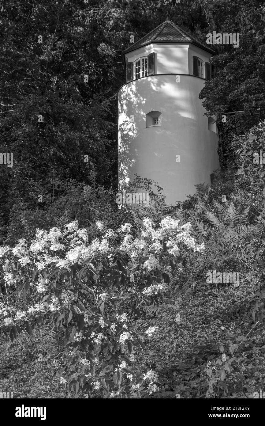 BIANCO E NERO: TORRE NASCOSTA Foto Stock