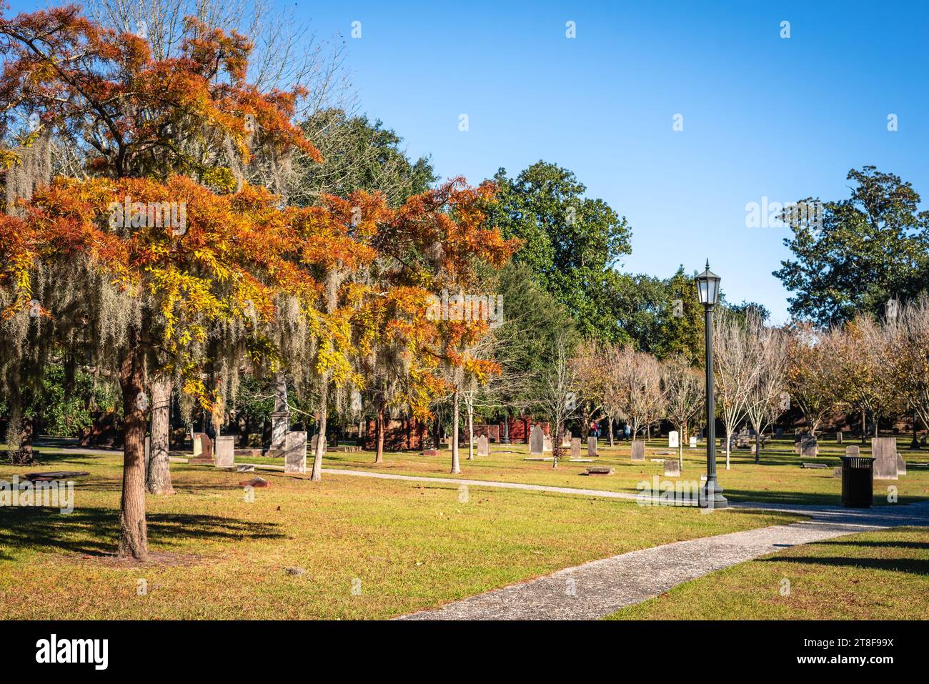 Colori autunnali al Colonial Park Cemetery di Savannah, Georgia, Stati Uniti. Foto Stock