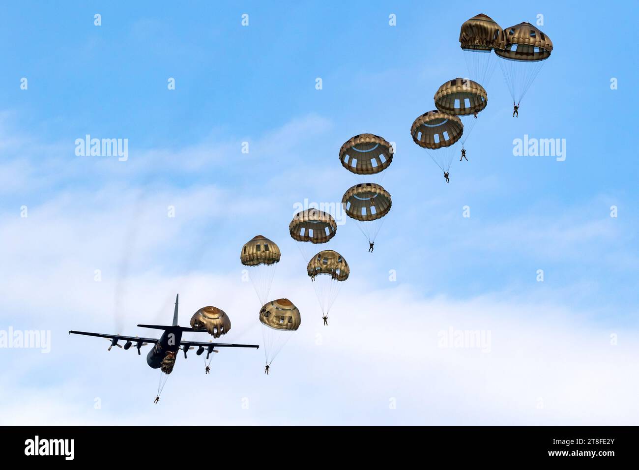 Paracadutisti militari paracadutisti paracadutisti che saltano da un aereo dell'aeronautica. Foto Stock