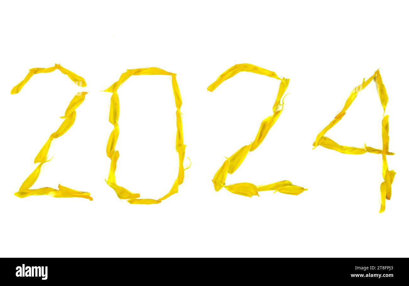 Capodanno 2024 realizzato con petali di fiori Damiana su sfondo bianco Foto Stock