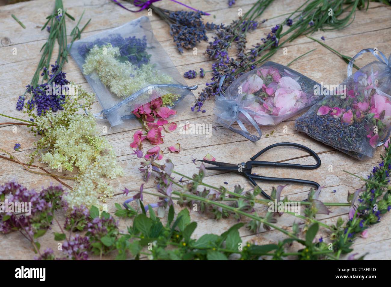 Duftsäckchen: Verschiedene Duftpflanzen werden in ein Gazesäckchen gefüllt: Aroma, Duft, Aromapflanze, Duftpflanze, profumo, aroma. Echter Lavendel, L. Foto Stock
