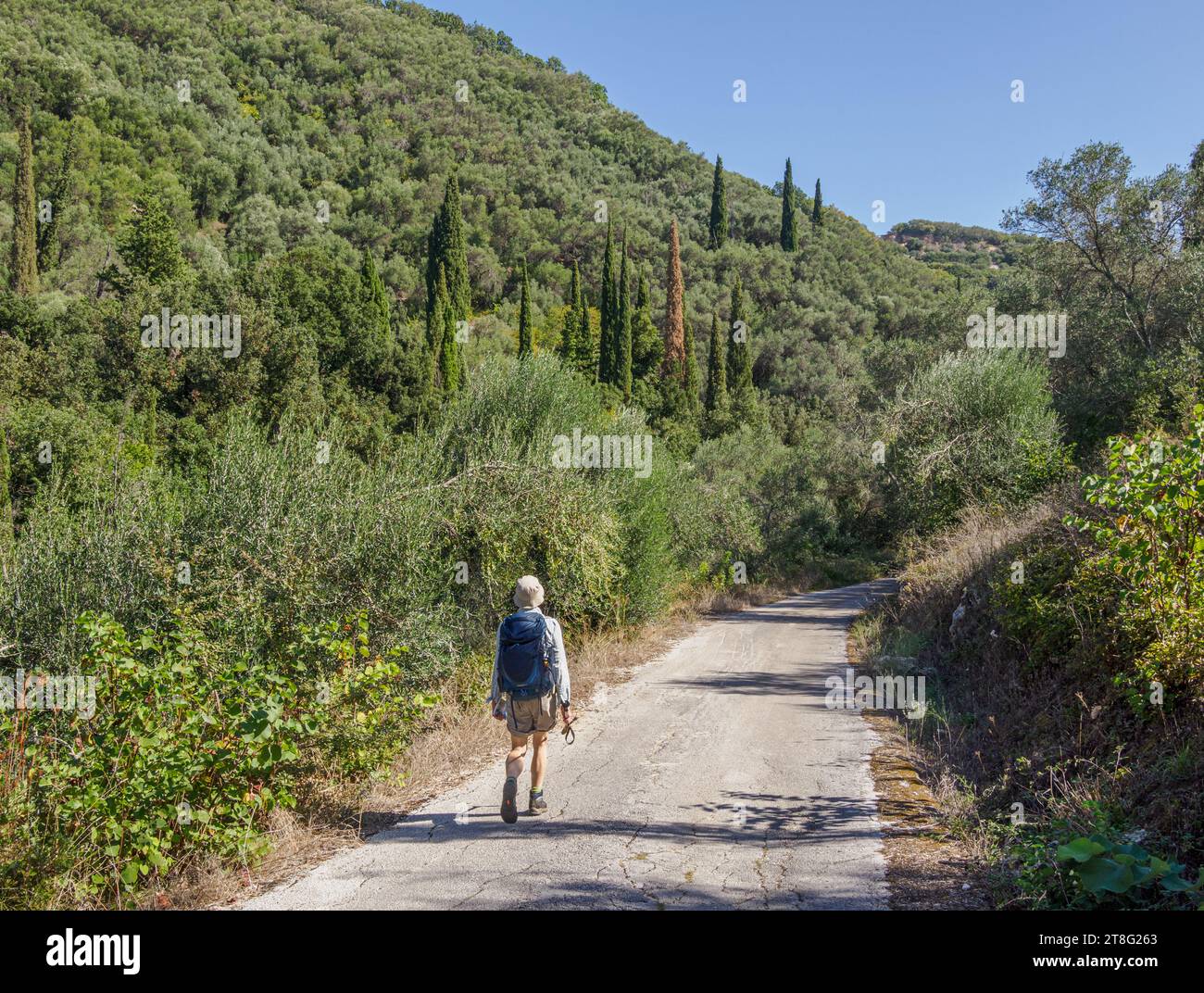 Camminando lungo una strada di campagna sul Monte Pantokrator Oros Pandokratoras sull'isola di Corfù Isole Ionie Grecia Foto Stock