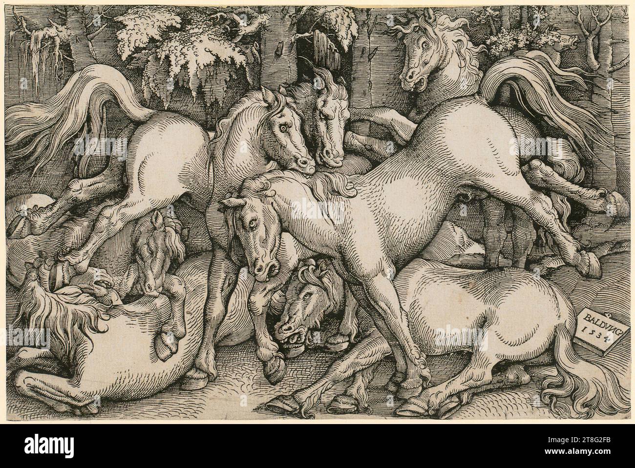 Hans Baldung Grien (1484, 1485 - 1545), stalloni combattenti in mezzo a un gruppo di cavalli selvatici nella foresta, data di stampa: 1534, taglio del legno, dimensione foglio: 21,2 x 32,0 cm, firmato e datato in basso a destra sul pannello 'BALDVNG, 1534 Foto Stock