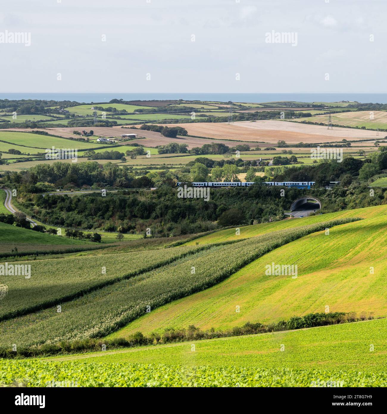 Un treno della South Western Railway viaggia attraverso terreni agricoli vicino Upwey nel South Dorset. Foto Stock