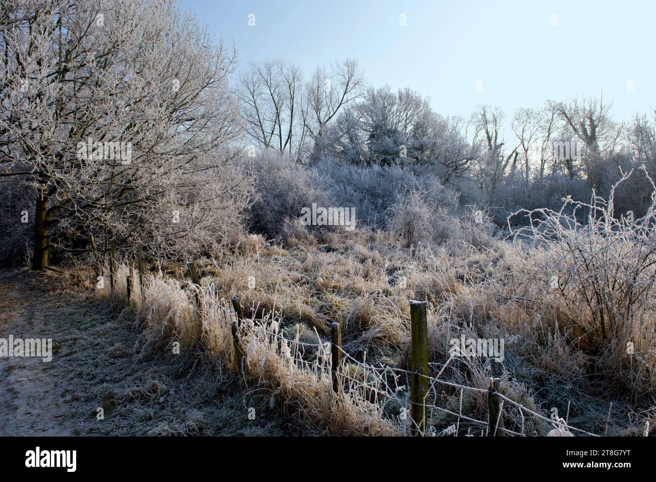 Il gelo e il paesaggio ghiacciato del Kent, in Inghilterra Foto Stock