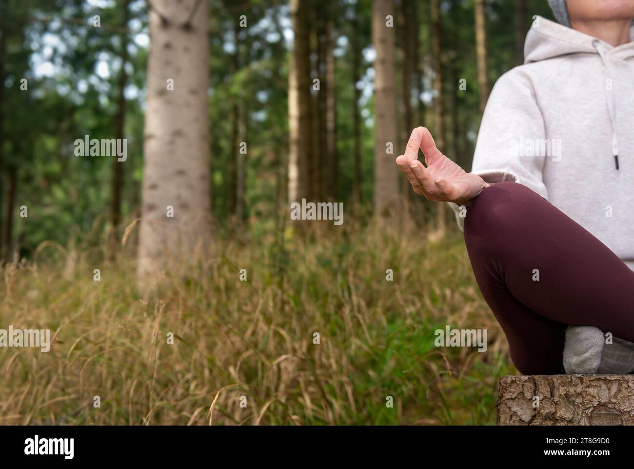 Primo piano di una donna in posizione di loto con le mani dello yoga in una foresta. Foto Stock