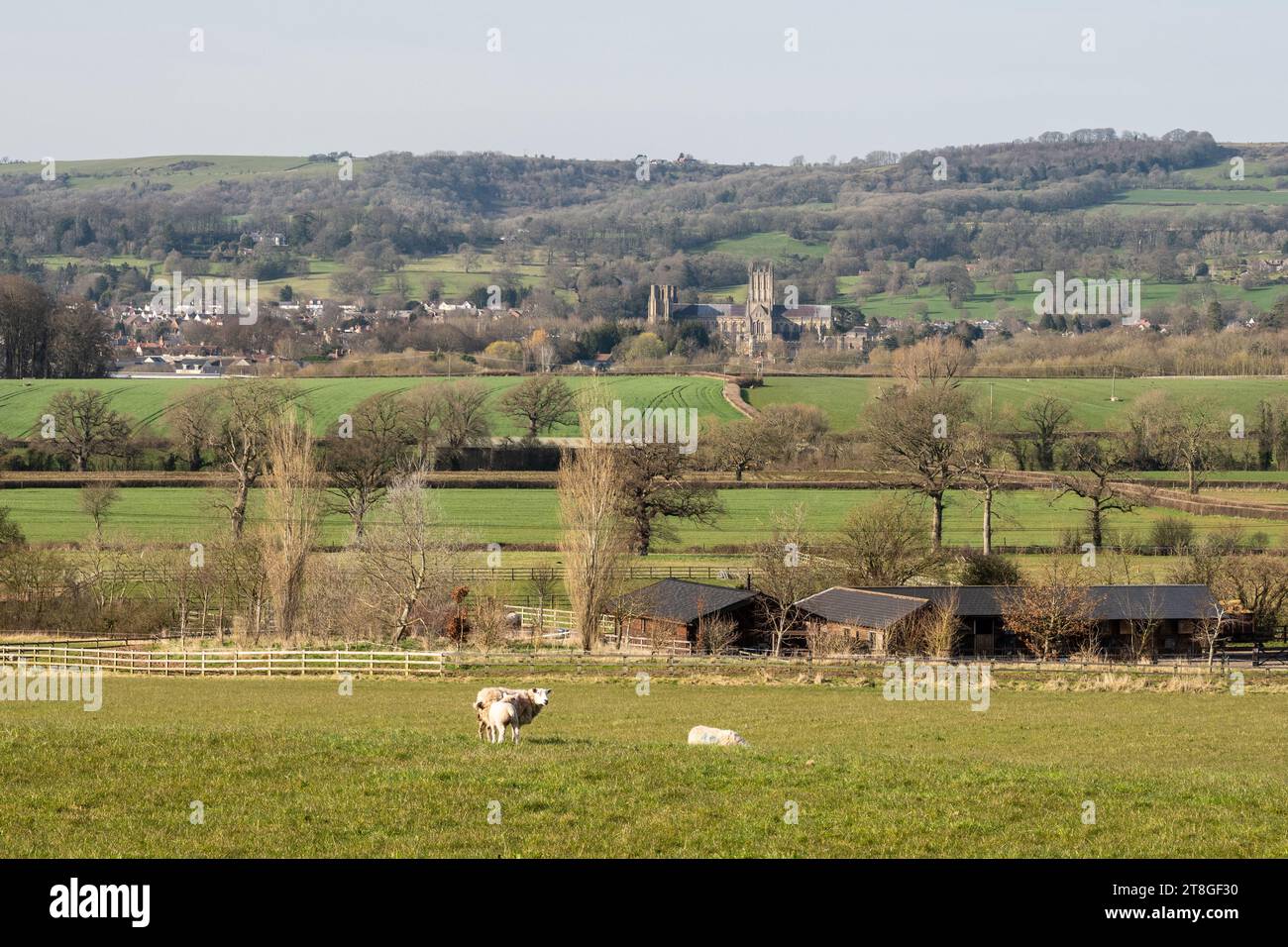 La cattedrale di Wells domina la città più piccola d'Inghilterra sotto le Mendip Hills nella campagna del Somerset. Foto Stock