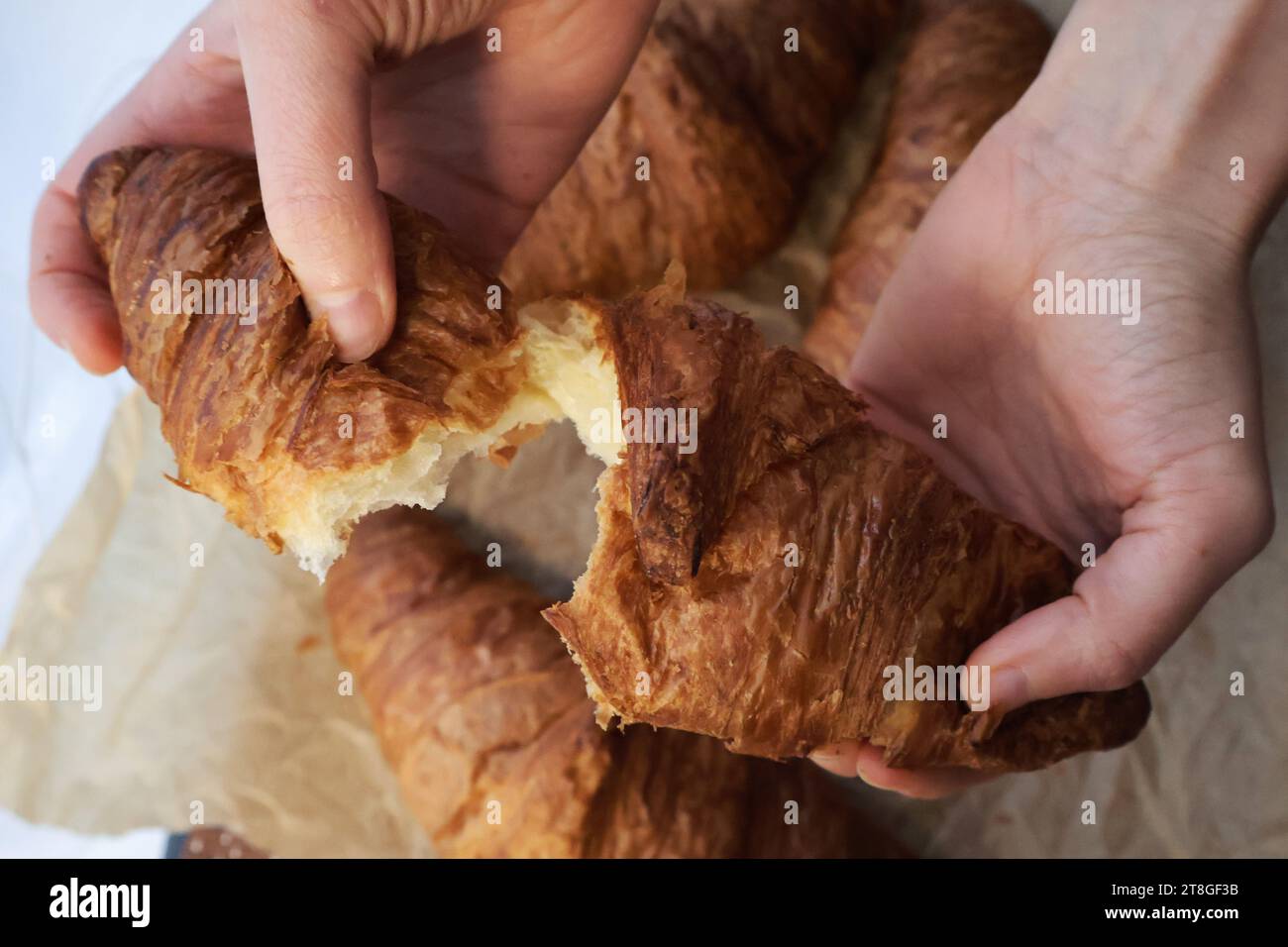 Croissant dorato e frizzante su un rustico tavolo in legno con accanto una tazza di caffè fumante, delicatamente illuminato dalla luce del sole del mattino che scorre attraverso una finestra. Foto Stock