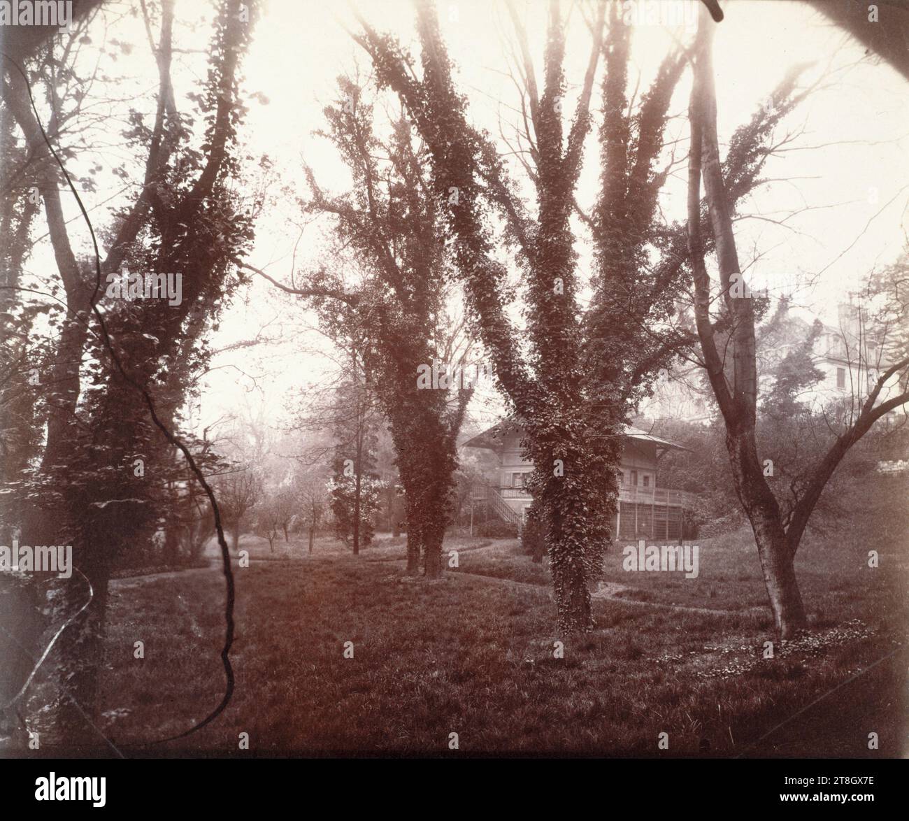 Parc Delessert, 16° arrondissement, Parigi, Atget, Eugène (Jean Eugène Auguste Atget), fotografo, Fotografia, arti grafiche, stampa di albumi, dimensioni - lavoro: altezza: 18,5 cm, larghezza: 21,6 cm Foto Stock