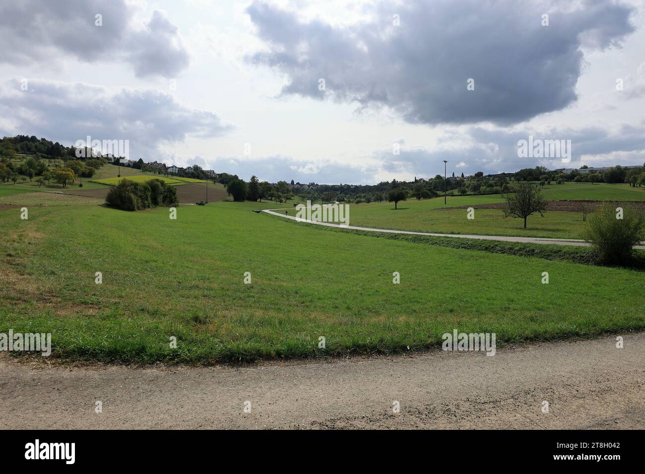 Vista del Heckengäu vicino a Wurmberg Foto Stock