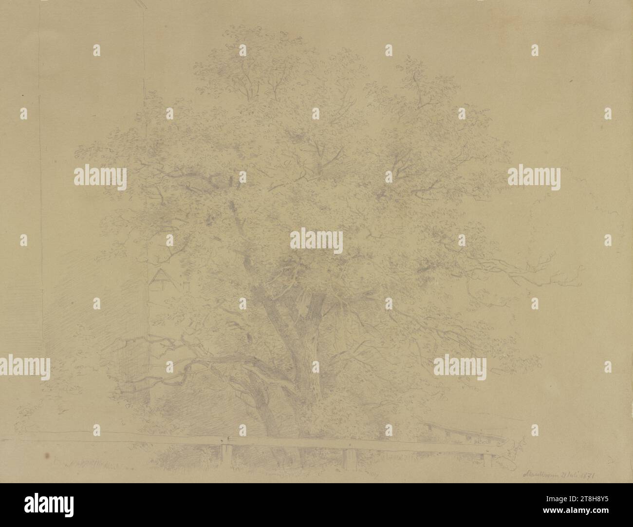 CARL THEODOR REIFFENSTEIN, Tree near Maulbronn, 21 luglio 1871, foglio, 238 x 310 mm, matita su carta, albero vicino a Maulbronn, CARL THEODOR REIFFENSTEIN, pagina, nastri adesivi, volume 30, pagina 21, numero di parte / totale, 1 / 1, MAULBRONN, XIX SECOLO, DISEGNO, matita su carta, MISCELA GRAFITE-ARGILLA, CARTA, DISEGNO A MATITA, TEDESCO, STUDIO SUGLI ALBERI, STUDIO DI VIAGGIO, STUDIO, datato e inscritto in basso a destra, a matita, Maulbronn 21 luglio 1871 Foto Stock