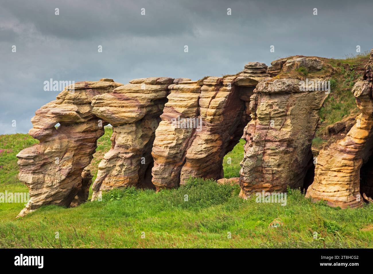 Grotte di Caiplie e formazione rocciosa, Fife Coastal Walk, tra Crail e Anstruther, Fife, Scozia, Regno Unito Foto Stock
