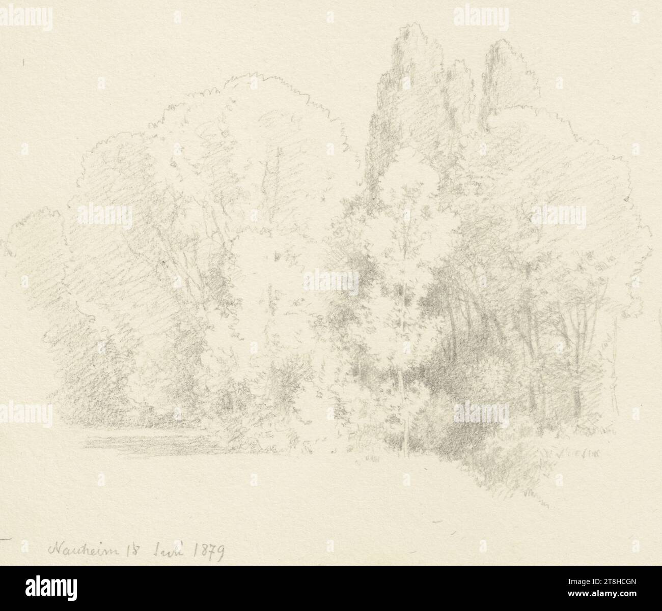 CARL THEODOR REIFFENSTEIN, bordo della foresta vicino a Bad Nauheim, 18 luglio 1879, foglio, 113 x 151 mm, matita su carta, bordo della foresta vicino a Bad Nauheim, CARL THEODOR REIFFENSTEIN, pagina, nastri adesivi, volume 36, pagina 25, numero di parte / totale, 1 / 3, BAD NAUHEIMArea, 19TH CENTURY, DISEGNO, matita su carta, MISCELA GRAFITE-ARGILLA, CARTA, DISEGNO A MATITA, TEDESCO, STUDIO DELL'ALBERO, STUDIO DEL PAESAGGIO, STUDIO DI VIAGGIO, STUDIO, datato e inciso in basso a sinistra, a matita, Nauheim 18 luglio 1879, numerato sulla pagina sopra il disegno, in penna nera Foto Stock