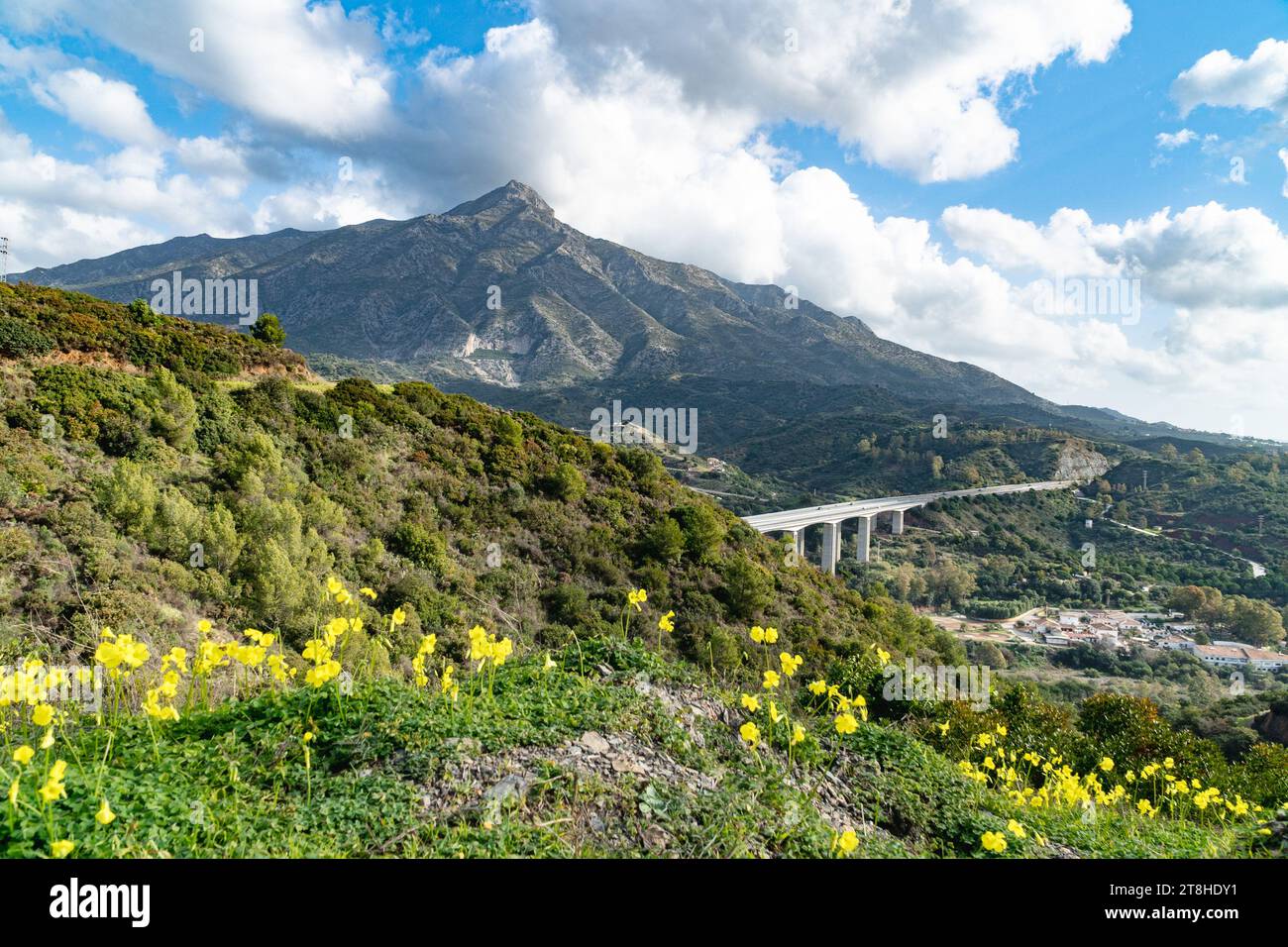 Un'immagine paesaggistica delle colline in fiore che circondano la città mediterranea di Marbella. Foto Stock