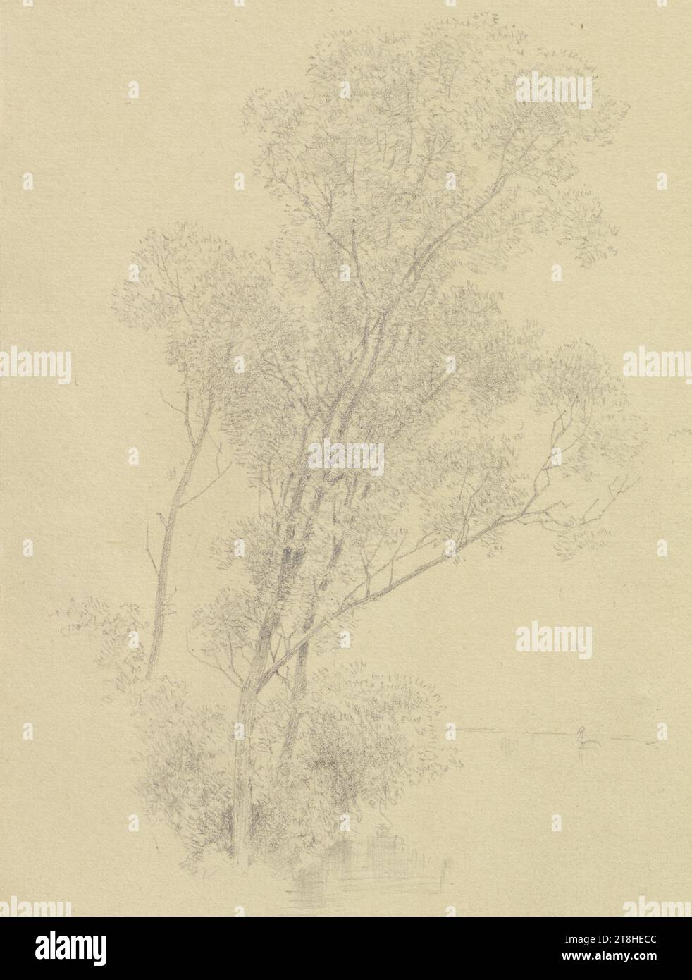 CARL THEODOR REIFFENSTEIN, gruppo di alberi con un corpo d'acqua, 4 luglio 1884, foglio, 157 x 118 mm, matita su carta, gruppo di alberi con un corpo d'acqua, CARL THEODOR REIFFENSTEIN, pagina, nastri adesivi, volume 39, pagina 31, numero di parte / totale, 1 / 4, WIESBADEN, 19TH CENTURY, DISEGNO, matita su carta, MISCELA GRAFITE-ARGILLA, CARTA, DISEGNO A MATITA, TEDESCO, STUDIO DI VIAGGIO, STUDIO SUGLI ALBERI, STUDIO, datato e inciso in basso a sinistra, a matita, Wiesbaden 4 luglio. 84., numerato sulla pagina sopra il disegno, con penna nera Foto Stock