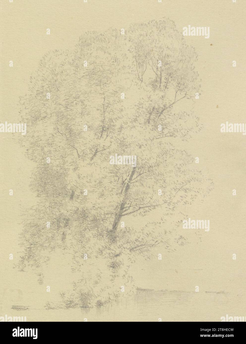 CARL THEODOR REIFFENSTEIN, gruppo di alberi con un corpo d'acqua, 29 giugno 1884, foglio, 156 x 118 mm, matita su carta, gruppo di alberi con un corpo d'acqua, CARL THEODOR REIFFENSTEIN, pagina, nastri adesivi, volume 39, pagina 31, numero di parte / totale, 2 / 4, WIESBADEN, XIX SECOLO, DISEGNO, matita su carta, MISCELA GRAFITE-ARGILLA, CARTA, DISEGNO A MATITA, TEDESCO, STUDIO DI VIAGGIO, STUDIO SUGLI ALBERI, STUDIO, datato e inciso in basso a sinistra, a matita, Wiesbad. 29 giugno. 84., numerato sulla pagina sopra il disegno, con penna nera Foto Stock