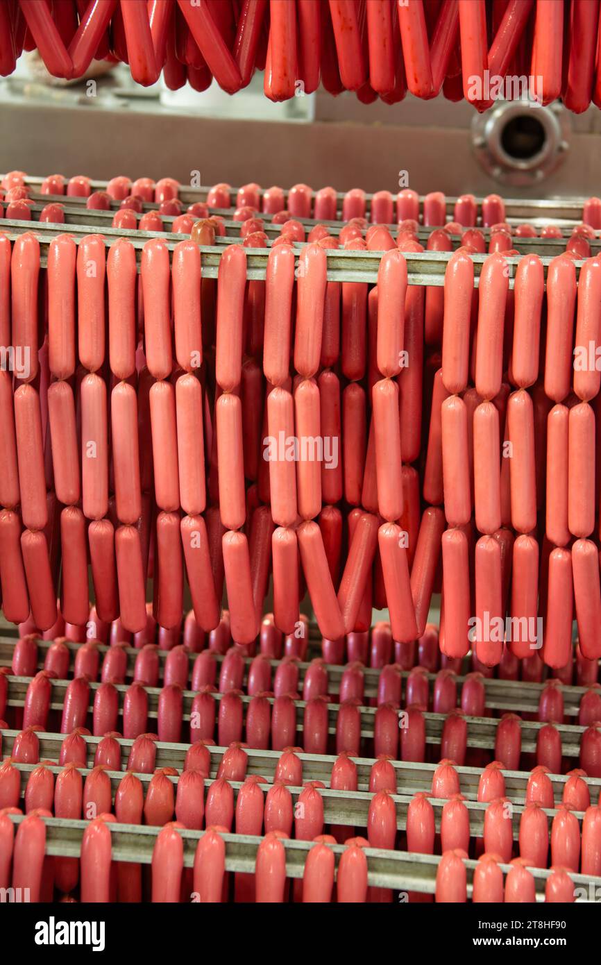 rack con salsicce wiener e bratwurst , hotdog crudo in fabbrica Foto Stock