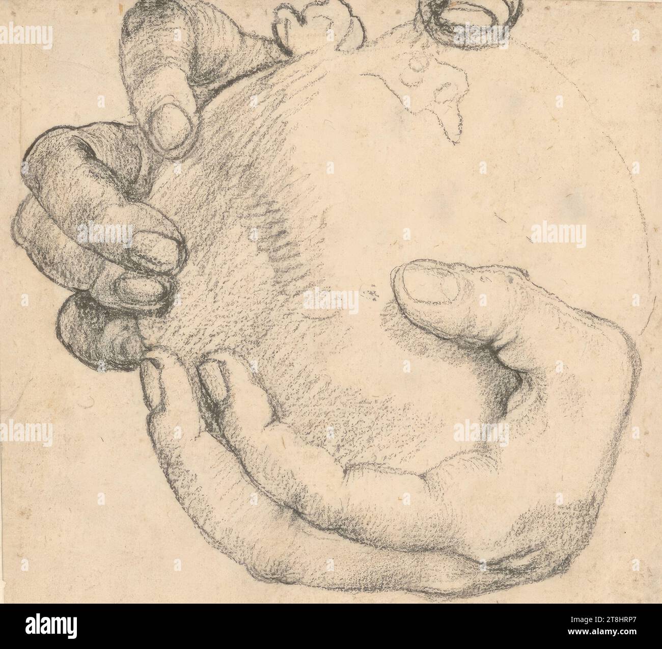 Le mani dell'imperatore Massimiliano i con un melograno, studio per il ritratto dell'imperatore Massimiliano i, Alberto Dürer, Norimberga 1471 - 1528 Norimberga, 1519, disegno, gesso nero; fori in alto, a destra e in basso, 15,2 x 14,6 cm, nessun timbro da collezione, M.u. '1519', nella mano di qualcun altro, e monogramma Dürer 'ad', nella mano di qualcun altro Foto Stock