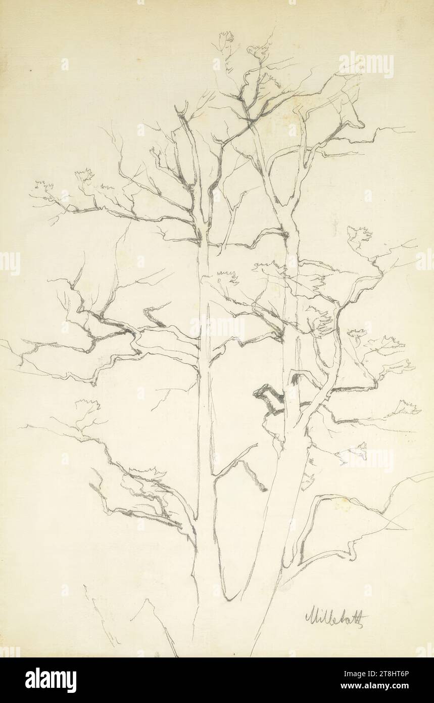 Studio dell'albero, Millstatt, Hörmann Theodor von Sketchbook; 28 pagine impaginate, Theodor von Hörmann, Imst 1840 - 1895 Graz, sketchbook: 1877-1878, disegno, matita, foglio: 21 cm x 13,9 cm, destra. "Millstatt", matita Foto Stock