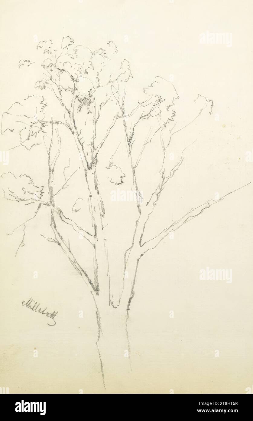 Studio dell'albero, Millstatt, Hörmann Theodor von Sketchbook; 28 pagine impaginate, Theodor von Hörmann, Imst 1840 - 1895 Graz, sketchbook: 1877-1878, disegno, matita, foglio: 21 cm x 13,9 cm, l.l. 'Millstatt', matita Foto Stock
