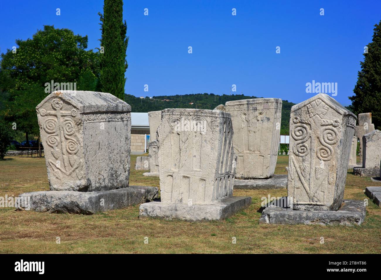 Splendidi sarcofagi/cassoni medievali incisi presso la necropoli stecak di Radimlja vicino a Stolac, Bosnia ed Erzegovina Foto Stock