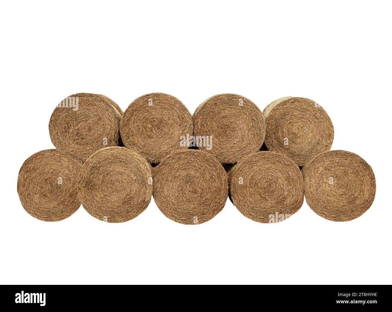 balle tonde isolate su sfondo bianco Foto Stock