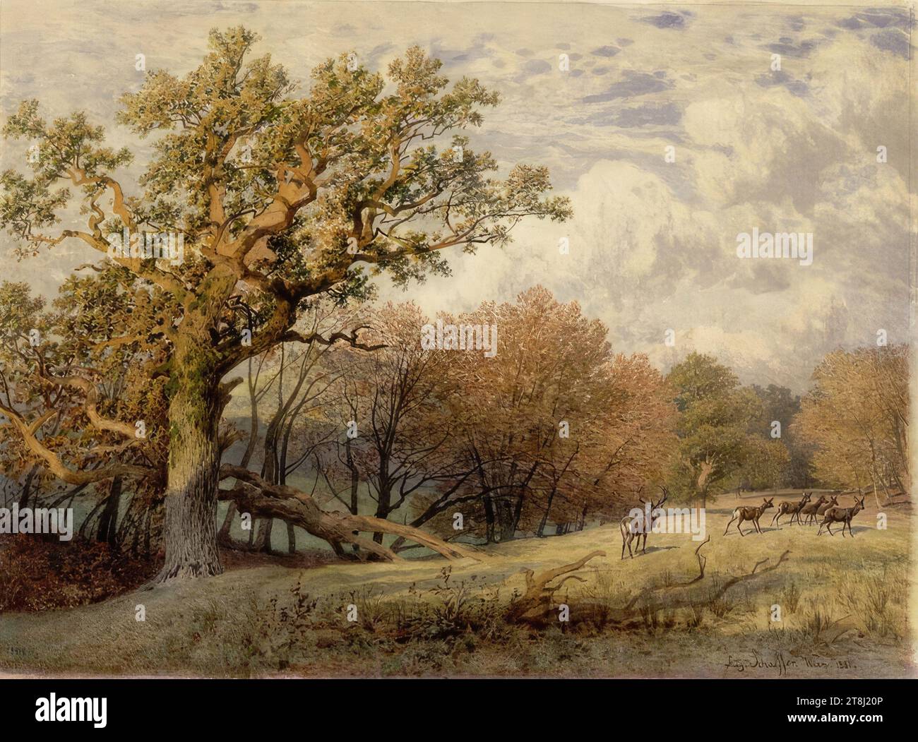Lainzer Tiergarten, August Schäffer, Vienna 1833 - 1916 Vienna, 1881, disegno, matita, acquerello, gouache, secondo Cahier: 37,8 x 50,6 cm, l.l. '28914, Austria Foto Stock
