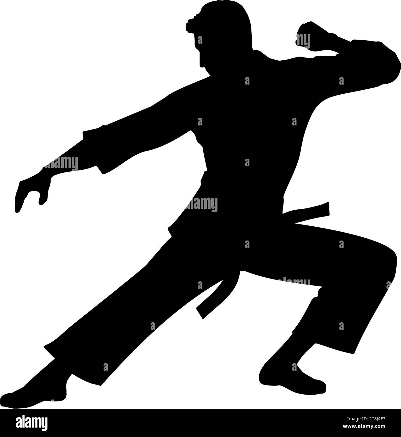 Silhouette da combattimento maschile per le arti marziali. illustrazione vettoriale Illustrazione Vettoriale