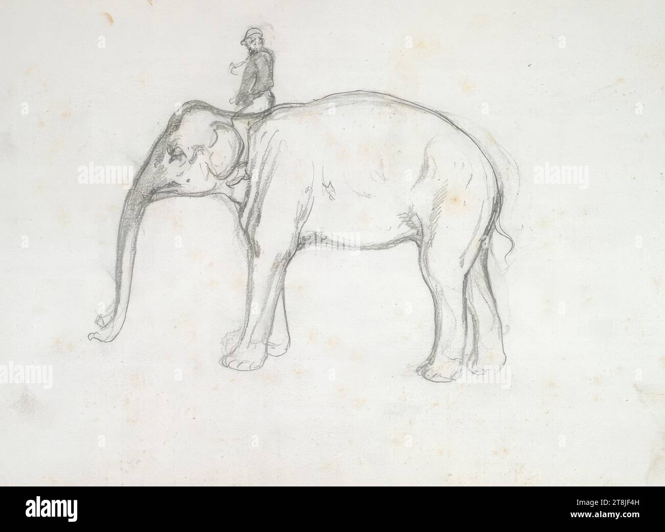 Bozzetto di un elefante con il cavaliere, bozzetto Passini Johann Nepomuk; 31 pagine paginate, Johann Nepomuk Passini, Vienna 1798 - 1874 Graz, bozzetto: 1871-1872, disegno, matita, foglio: 17,8 cm x 23,9 cm, Austria Foto Stock