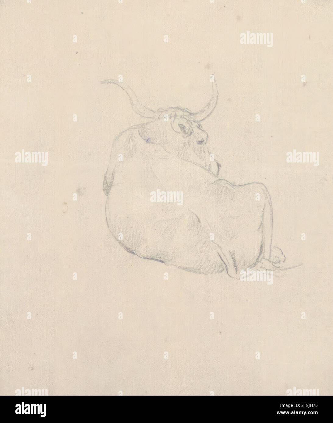 Studio del bestiame da dietro, bozzetto Toma Matthias Rudolf; 53 bozzetti a matita incollati, pagine di libri incollati impaginati, Matthias Rudolf Toma, Vienna 1792 - 1869 Vienna, disegno, matita, foglio: 9,8 cm x 8,2 cm, Austria Foto Stock
