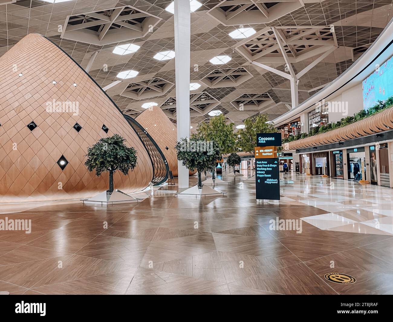 Vista interna dell'aeroporto internazionale di Baku Heydar Aliyev. Uno dei sei aeroporti internazionali dell'Azerbaigian Foto Stock