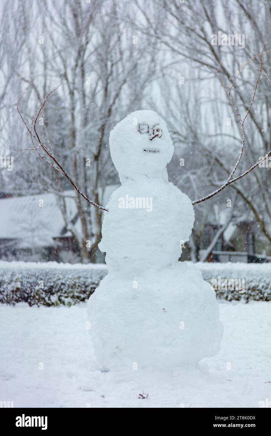 Pupazzo di neve Foto Stock