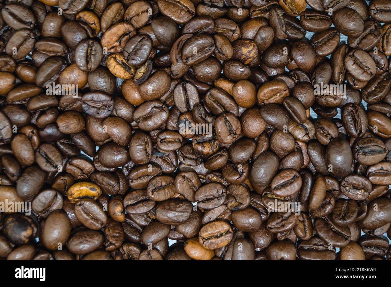 Chicchi di caffè tostati Foto Stock