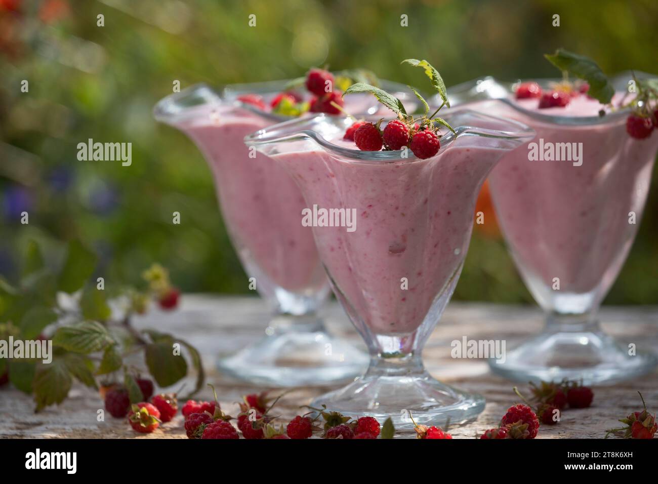 gelato morbido fatto da te, composto da yogurt, qvark e frutta, ghiaccio finito decorato con lamponi, foto della serie 4/4 Foto Stock
