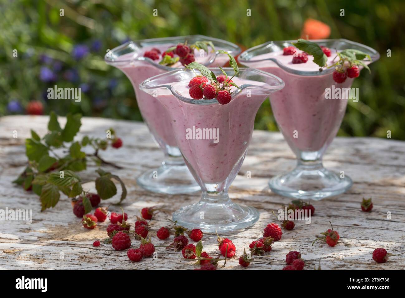 gelato morbido fatto da te, composto da yogurt, qvark e frutta, ghiaccio finito decorato con lamponi, foto della serie 4/4 Foto Stock