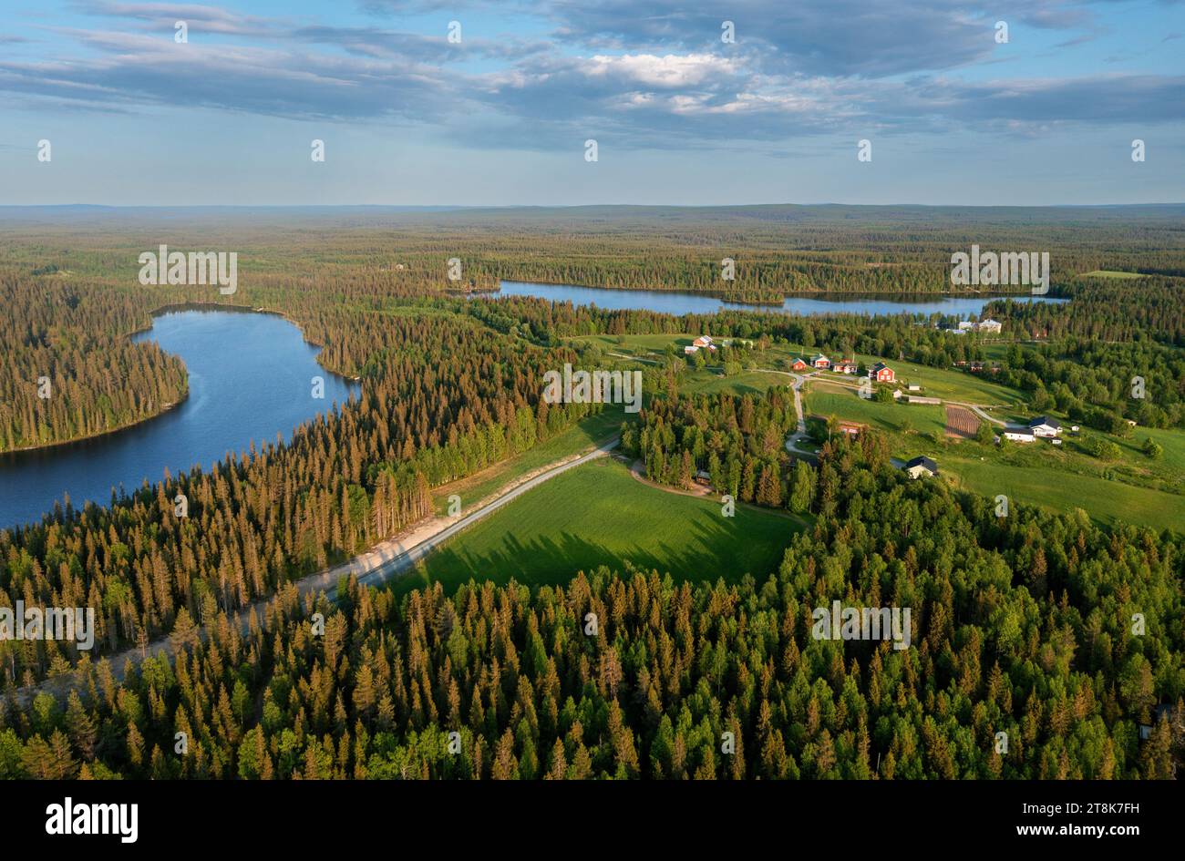 spruce dieback in finlandese taiga ai laghi Pitkaelahti e Laensilahti, foto aerea, Finlandia, Kuusamo, Virkkula Foto Stock