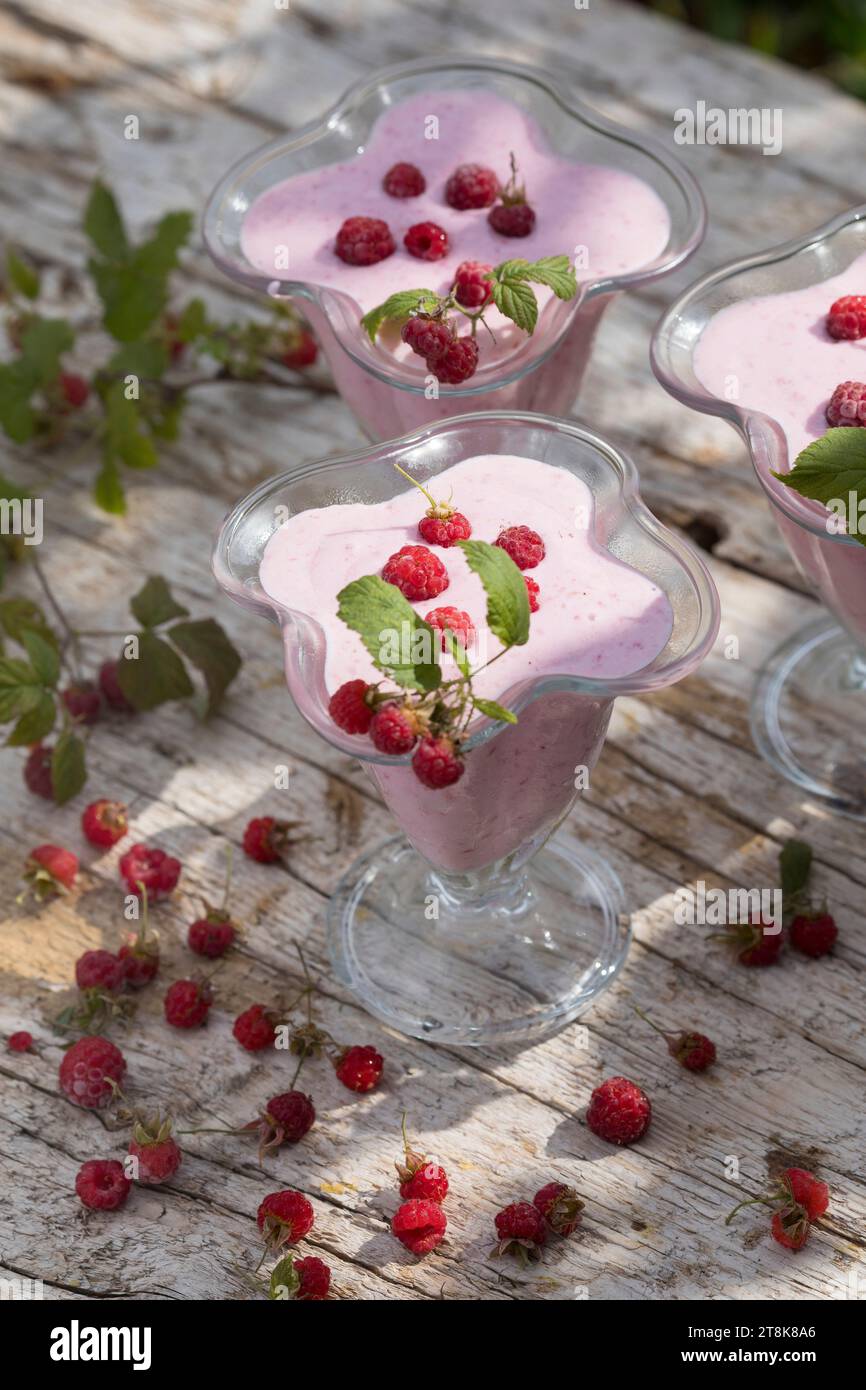 gelato morbido fatto da te, composto da yogurt, qvark e frutta, ghiaccio finito decorato con lamponi, foto della serie 4/4 Foto Stock