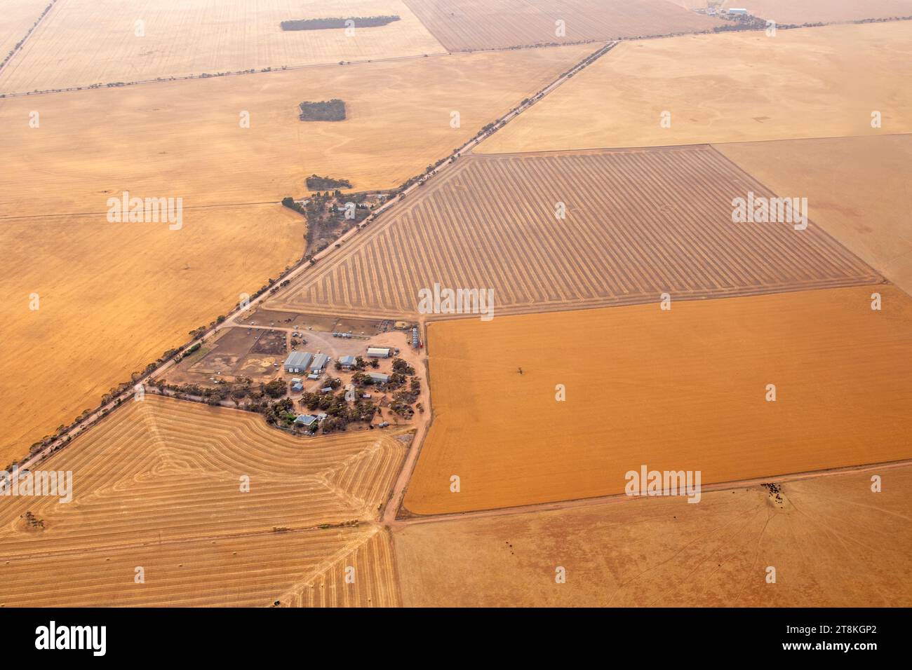 Terreni agricoli nel Mid North dell'Australia meridionale Foto Stock