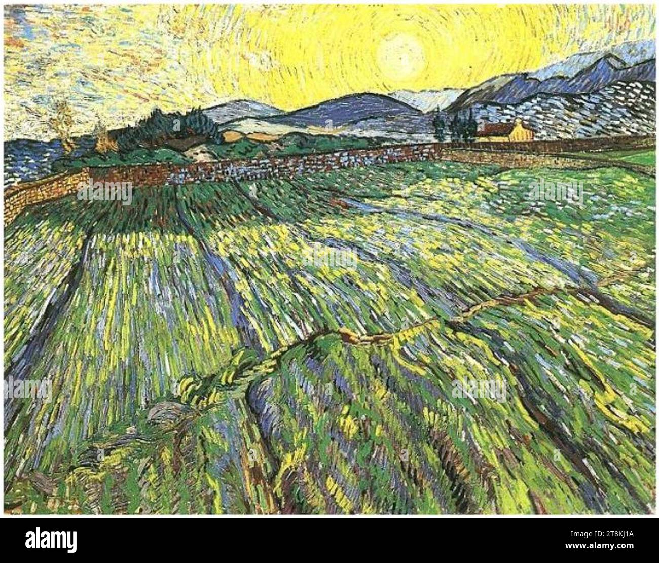 Van Gogh - Umfriedetes Feld mit jungem Korn bei Sonnenaufgang. Foto Stock