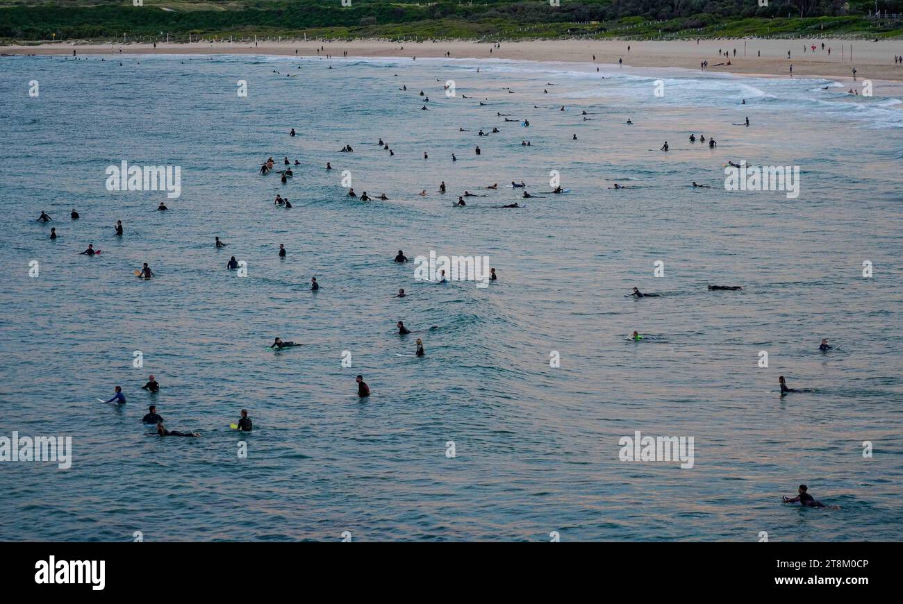 Un gran numero di surfisti aspetta le onde a Maroubra Beach. Foto Stock
