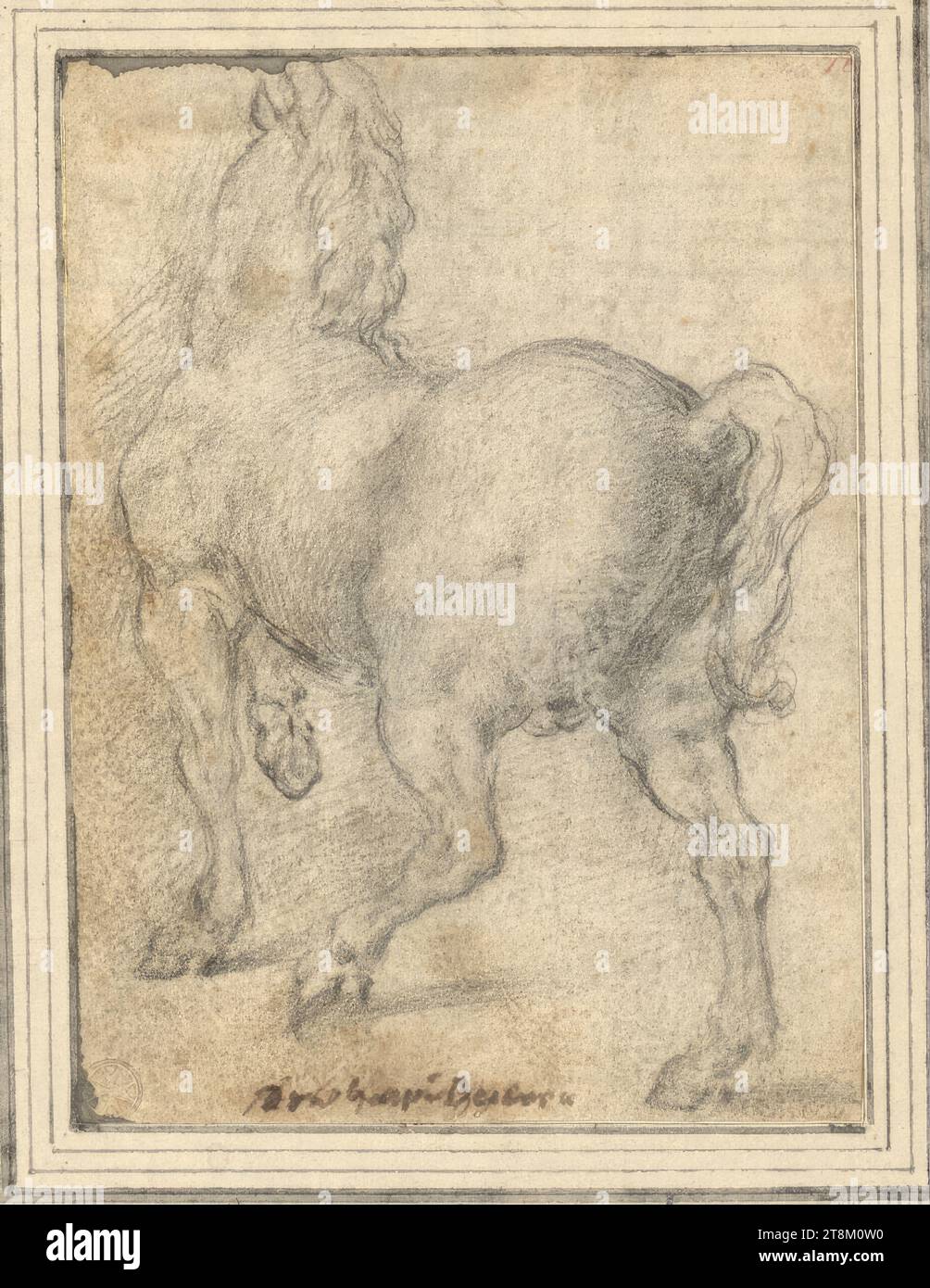 Cavallo, Gaspar Becerra (Baeza 1520 - 1570 Madrid), disegno, gesso di pietra nera, 13,6 x 10,1 cm, fregio l.l., r.b. duca Alberto di Sassonia-Teschen, M.u. Gasp Becerra Foto Stock