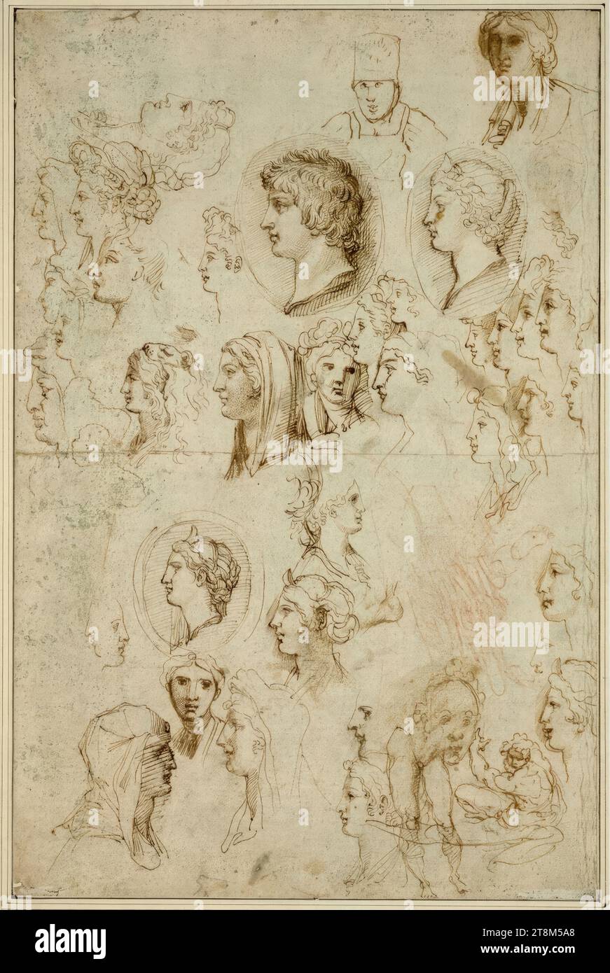 foglio di studio. (Teste maschili e femminili, parzialmente basate su gemme antiche; studio delle gambe di una figura maschile in basso a destra; studio di una figura maschile seduta a sinistra, rivolta verso l'alto con la sinistra), Agostino Carracci (Bologna 1557 - 1602 Parma), disegno, penna; tracce di gesso rosso; lavato; spruzzi di vernice verdi, 41,8 x 27,3 cm, l.l. duca Alberto di Sassonia-Teschen, vecchia penna cancellata in basso a destra e a sinistra Foto Stock